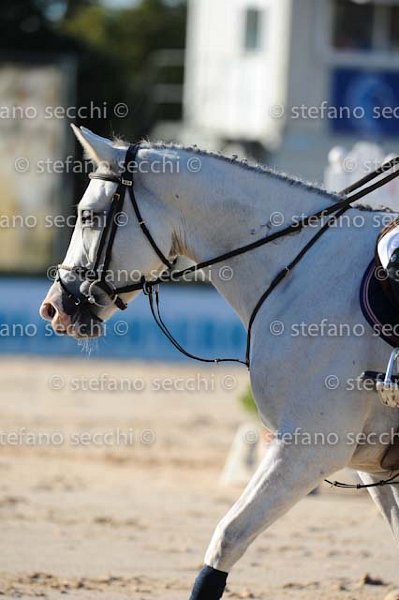 DEL CAVILLO_NIAGARA_GIO CAV 2011_(098) MRC_4501.jpg